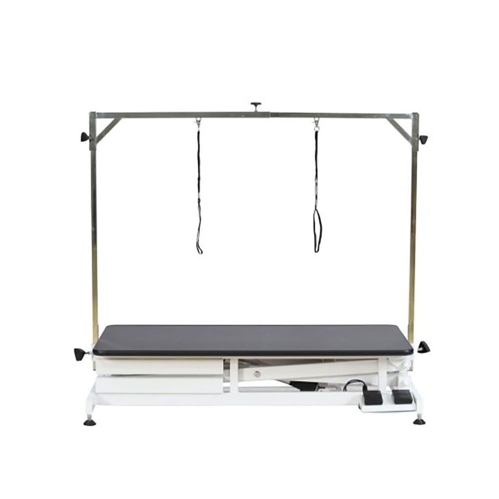 Aeolus Electric Dog Grooming Table Eco